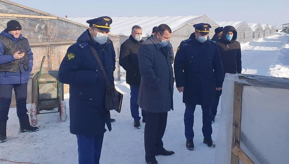 По предварительной версии