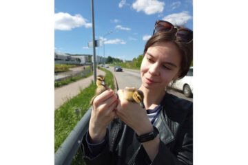 Ксения Антонова и ее муж отнесли птенцов к реке