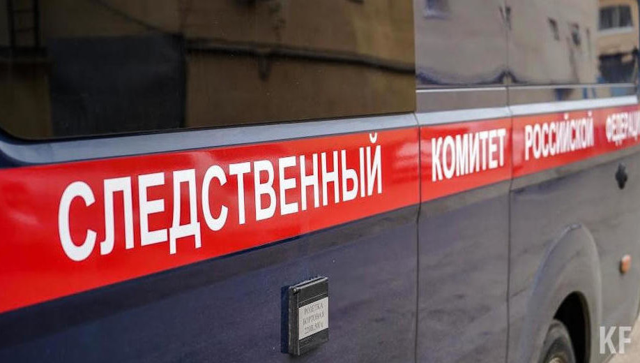 Женщине грозит до 10 лет лишения свободы.