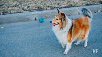 На нее можно звонить круглосуточно и без выходных.