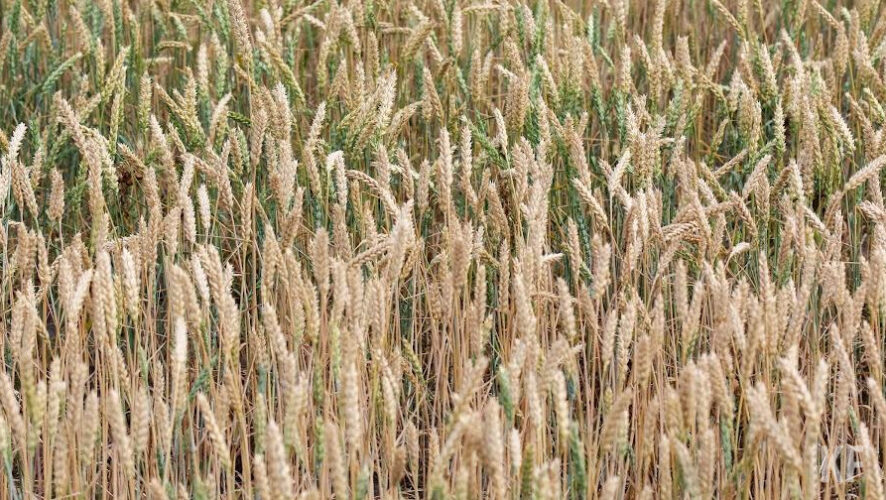 На площади 2