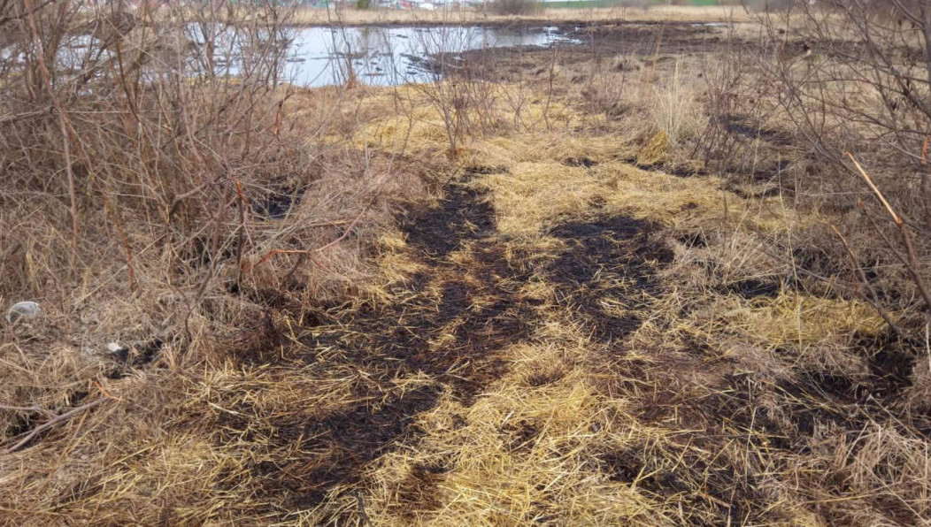 Причиной стала авария на нефтепроводе НГДУ Альметьевнефть.