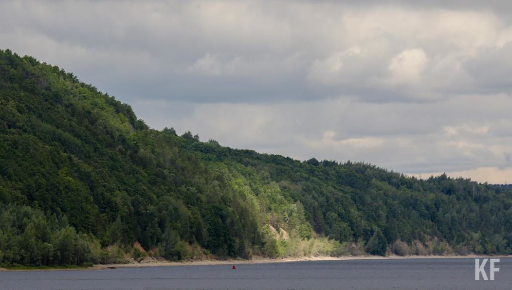 По сообщениям самих очевидцев