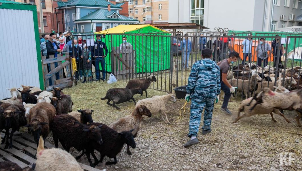 Работать будут саперы