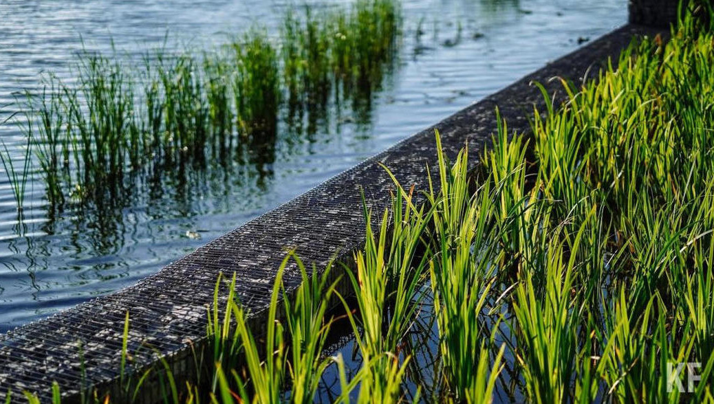 Самый затратный - парк у ЖК «Светлая долина».