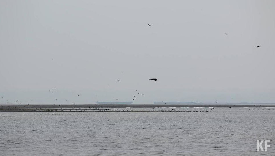 Прежний абсолютный максимум температуры зафиксировали в 1951 году