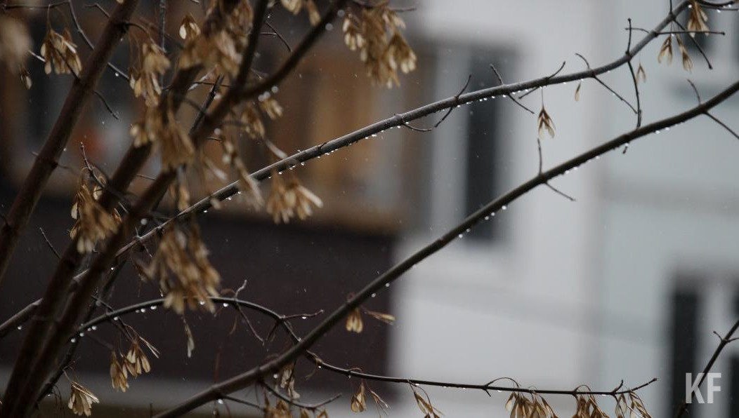 Ветер северо-западный.