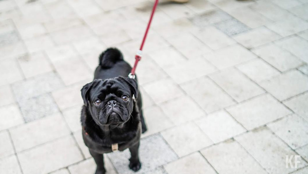 По словам чиновников