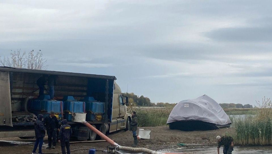 Зарыбление провели