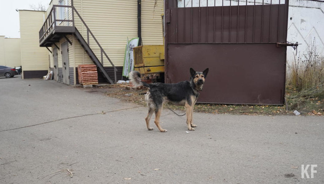 Тимур Нагуманов напомнил