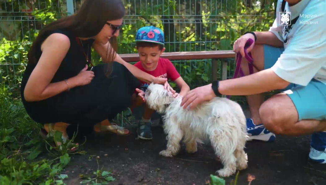 Горожане могут посетить специальную акцию 22 августа в парке Урицкого и найти себе верного и любящего друга.