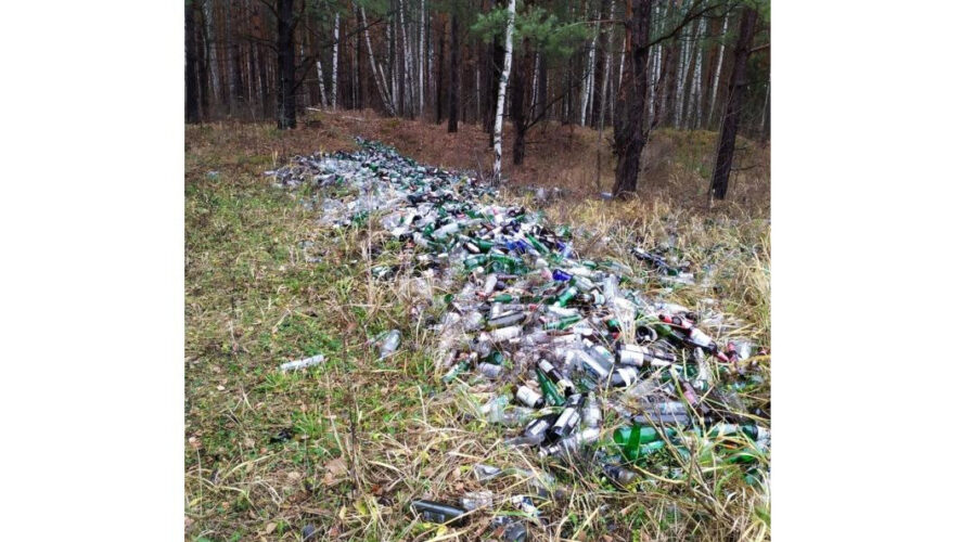 Курьезный случай произошел в лесу у Первомайской дамбы Тукаевского района.