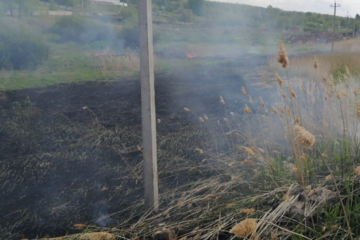 Из-за сильного ветра огонь разошелся на 100 кв.м.