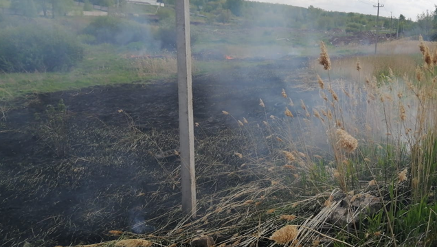 Из-за сильного ветра огонь разошелся на 100 кв.м.