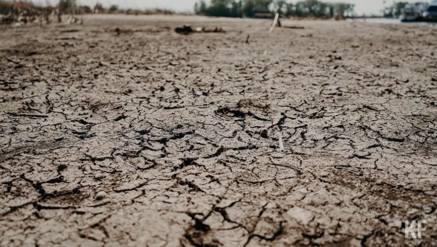 Он не действует только в Дрожжановском.