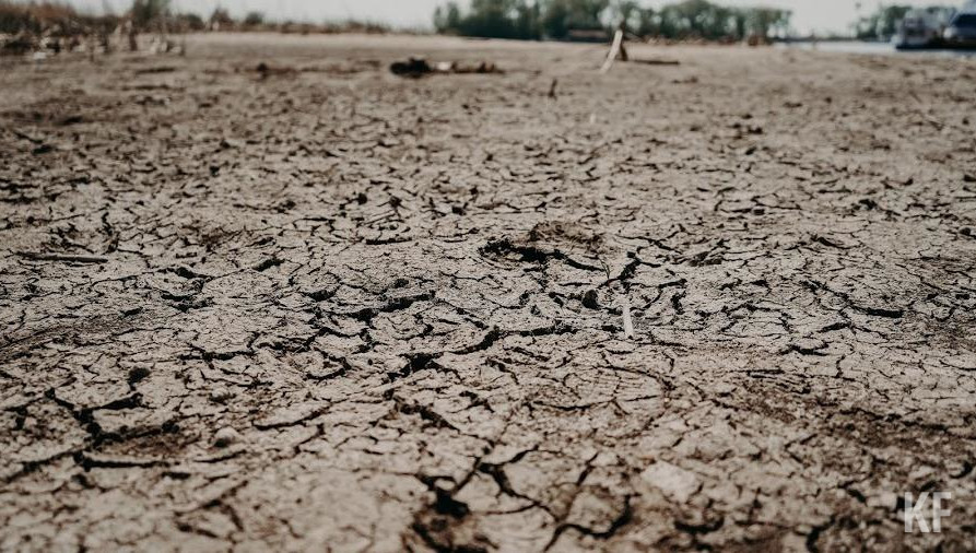 Он не действует только в Дрожжановском.