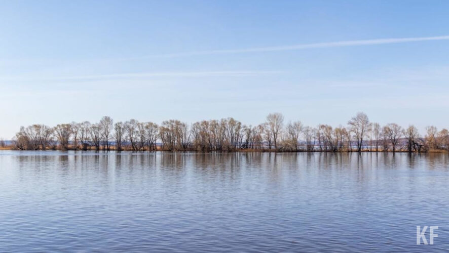 Обеспокоенные очевидцы позвонили в спецслужбу.