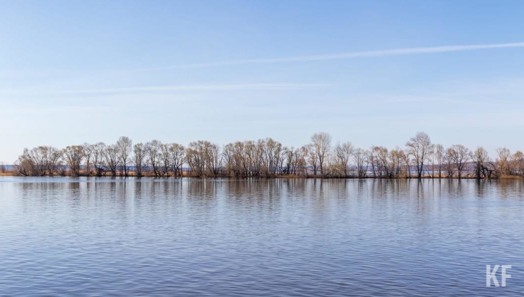 Обеспокоенные очевидцы позвонили в спецслужбу.