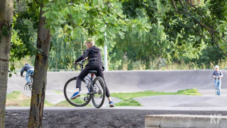 При этом уменьшилось и число противников здорового образа жизни.