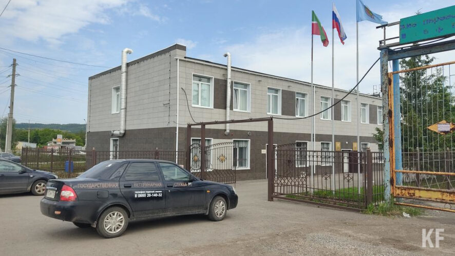 Горожане из дома на Геофизической