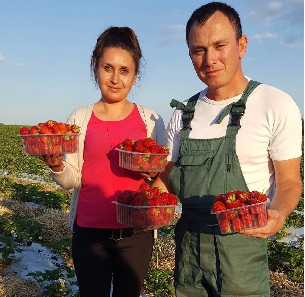 Instagram Хайруллина: на клубничной ферме поспел первый урожай этого года