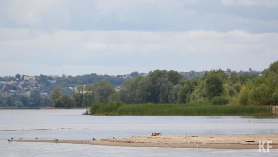 Власти объяснили