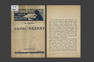 Издание поступило на татарском языке и рассказывает о реальных событиях осени 1920 года