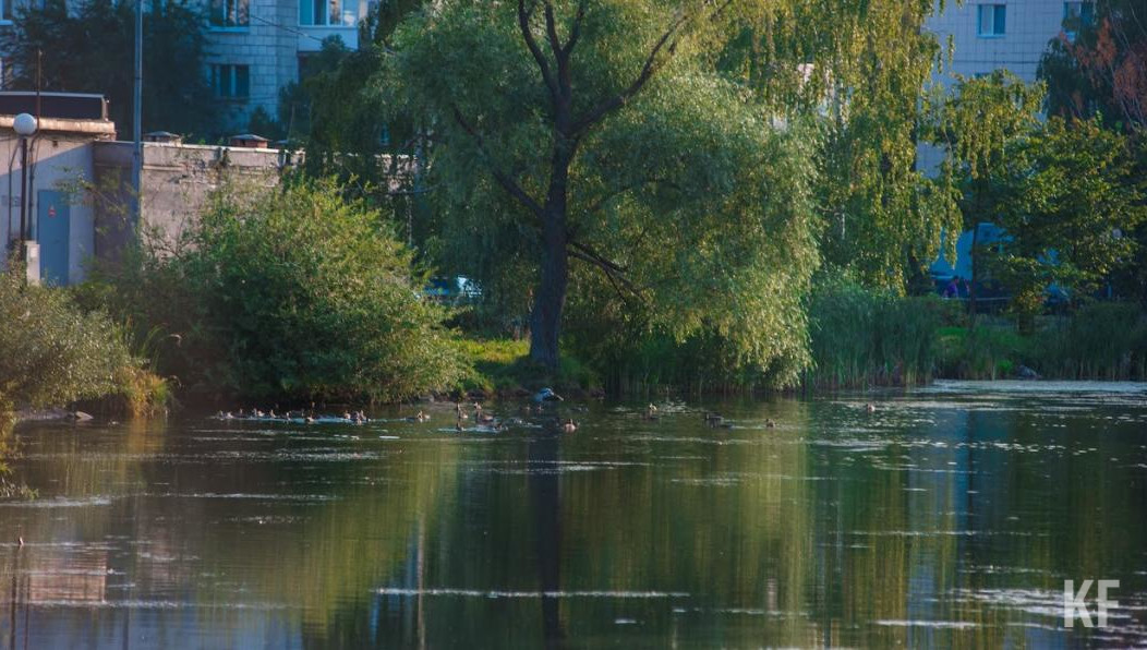 Дневные и ночные температуры заметно снизятся в среду