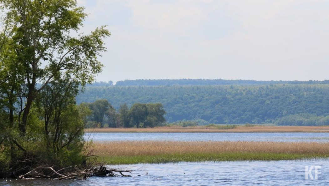 Житель дома 62/10 ушел на рыбалку 13 июня и пропал без вести.