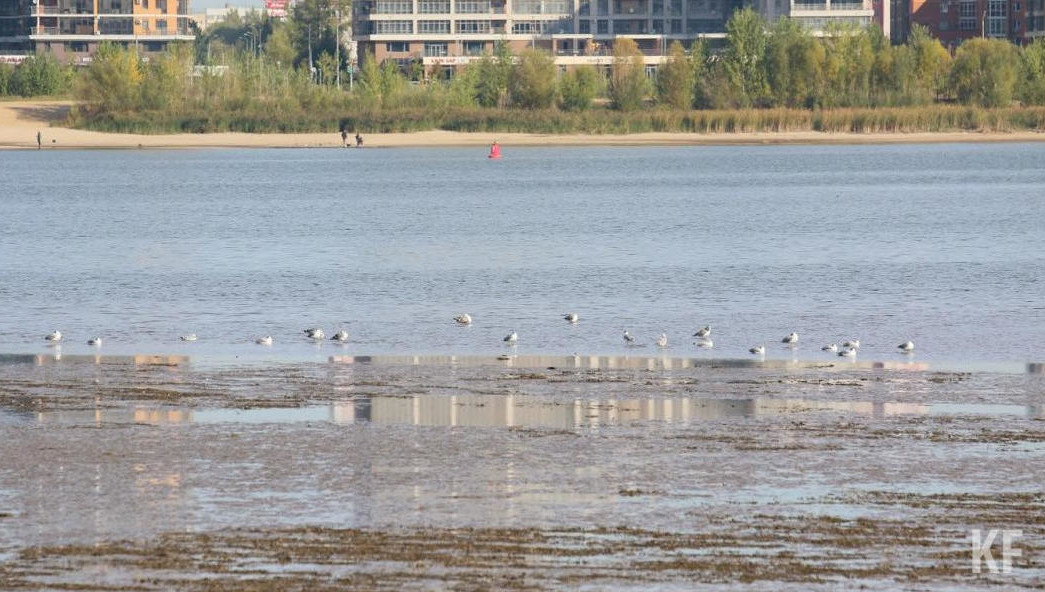 ЧП произошло при вливании в насос защитной оболочки.