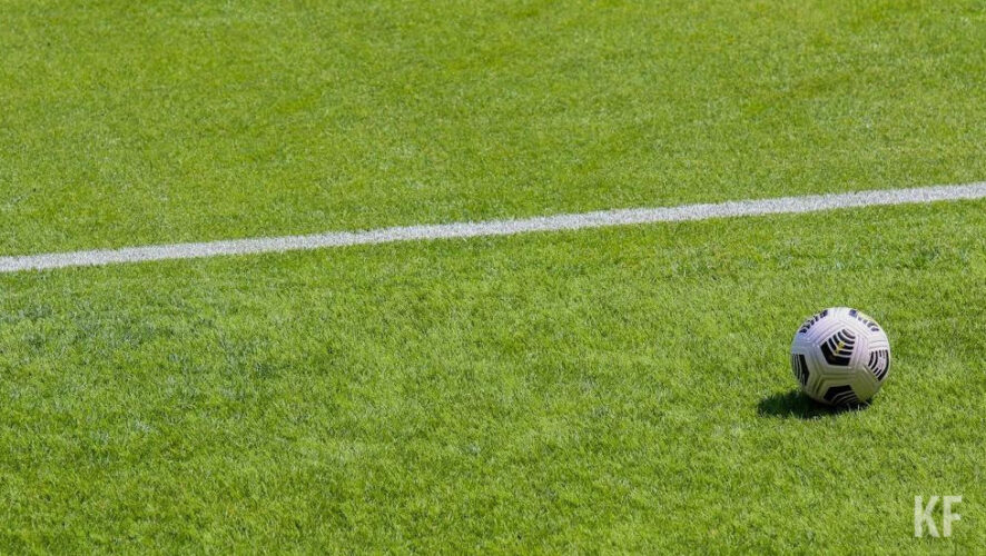 Комиссия осталась довольна состоянием газона.