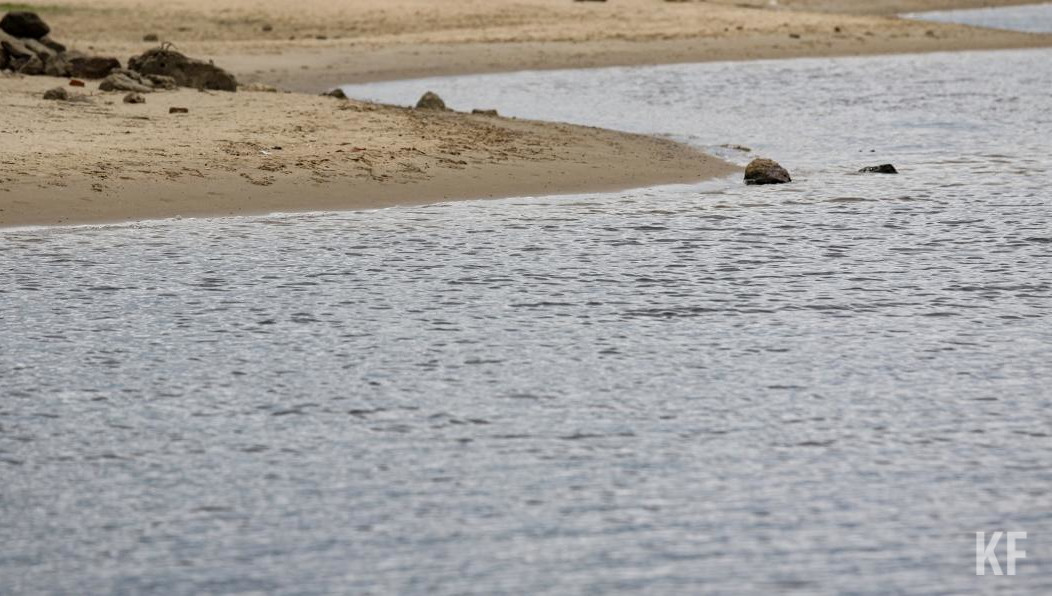 Предприятие загрязняло Волгу.