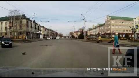 Пушистый котенок в Альметьевске сегодня чуть не спровоцировал серьезное ДТП на одном из перекрестков города. Он выбежал на середину дороги на улице Ленина