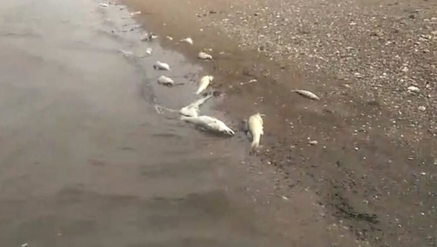 Специалисты ведомства выезжали на место.