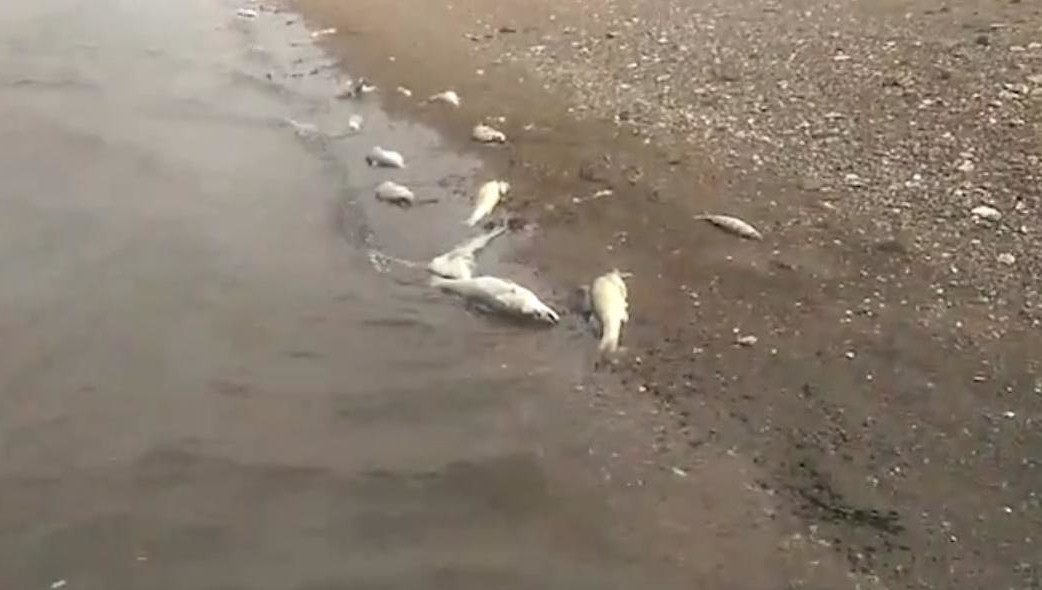 Специалисты ведомства выезжали на место.