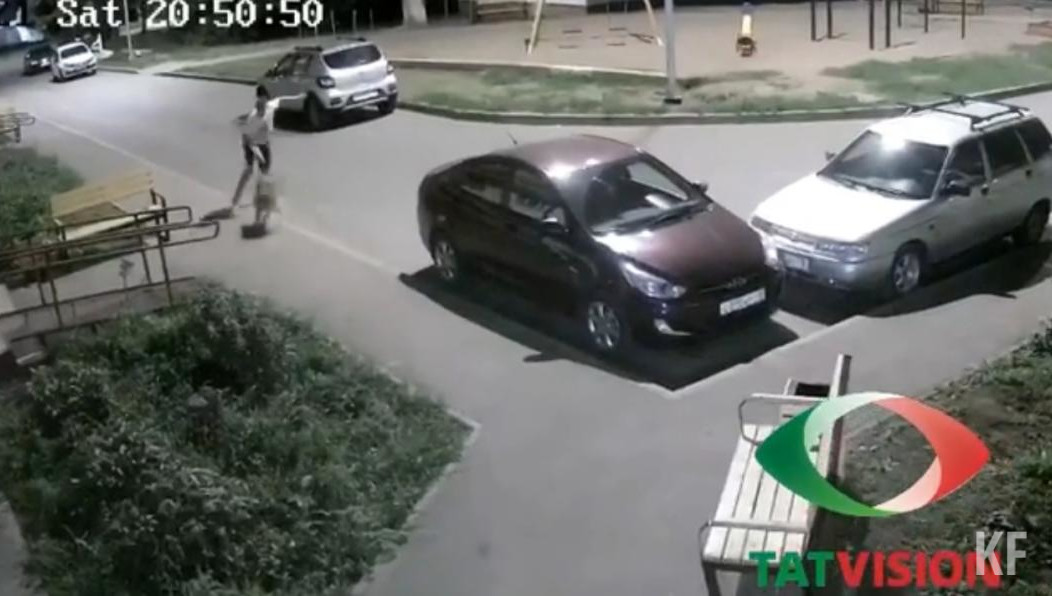 Пес появился неожиданно.