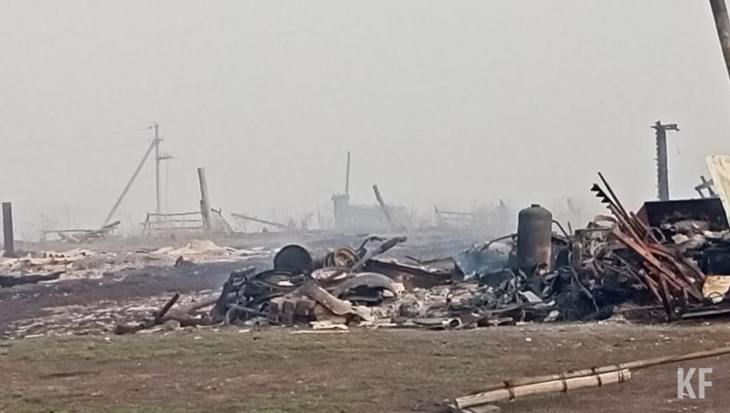 Сибирские татары сами обратились за помощью к президенту республики.