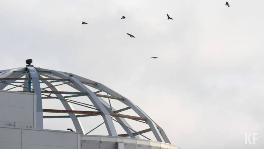 В перечень также может войти Исторический центр города Гороховец.