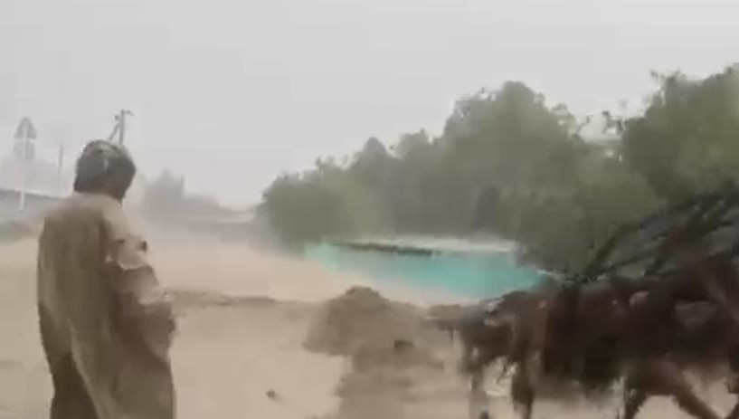 Как отметили в ведомстве