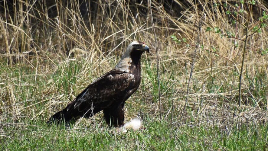 За процессом можно было понаблюдать в прямом эфире.