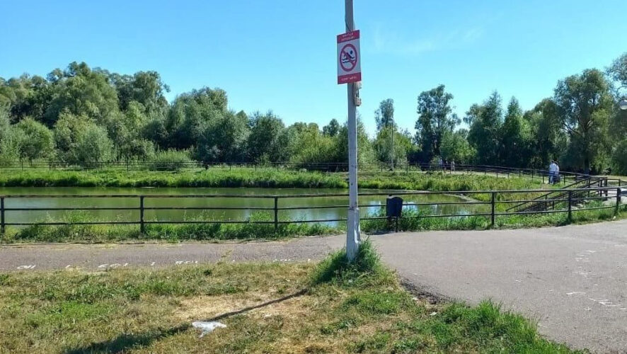 Тело из воды достали очевидцы.