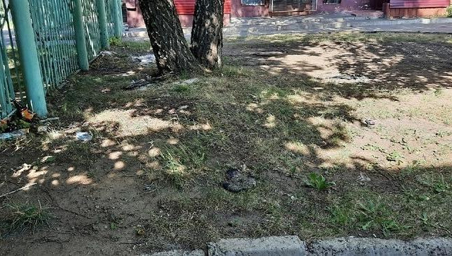 Гости заведения мусорят у жилого дома