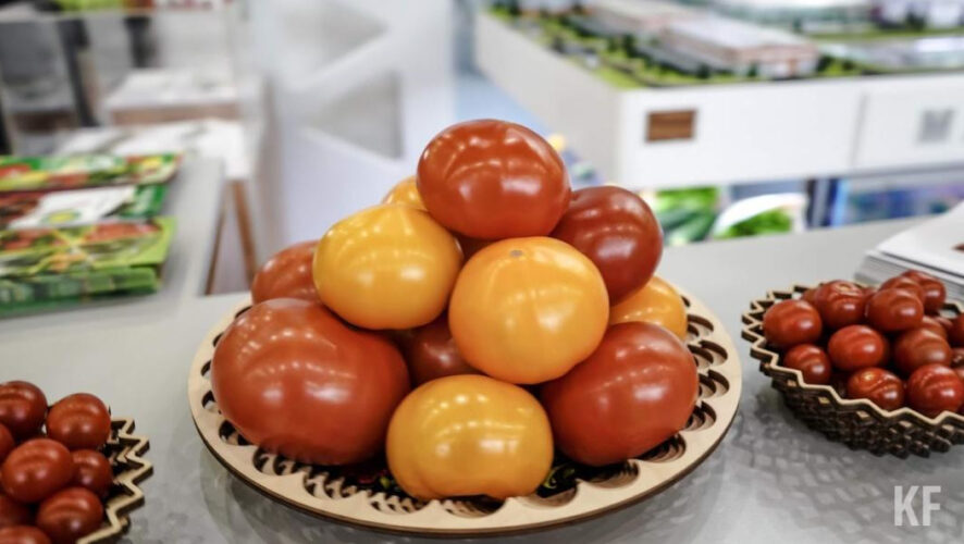 За лето&nbsp;организм должен накопить витамины перед предстоящей зимой.