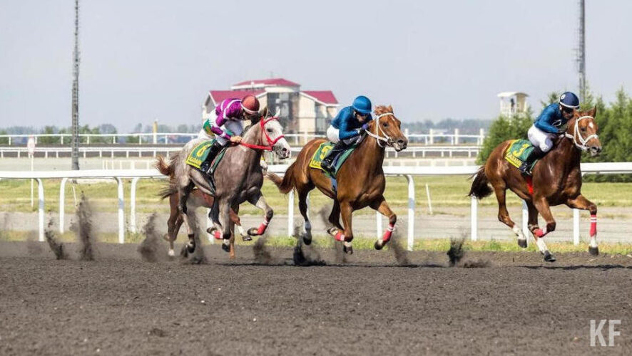 Праздник проводится в Татарстане уже в девятый раз.