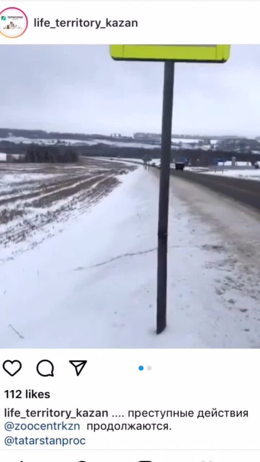 «На первый взгляд