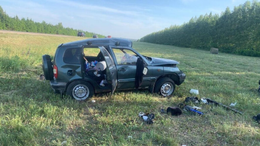 Водитель и пассажир травмировались.