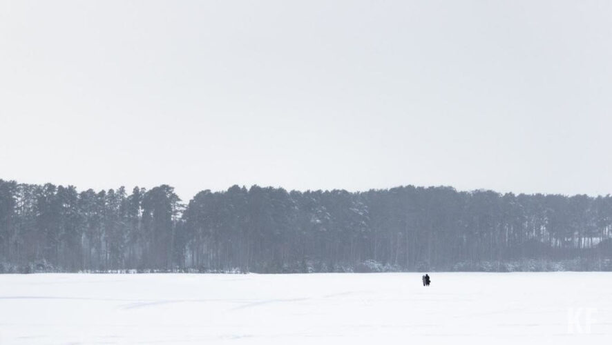 Лесники разбрасывают золу на&nbsp;посевных участках.