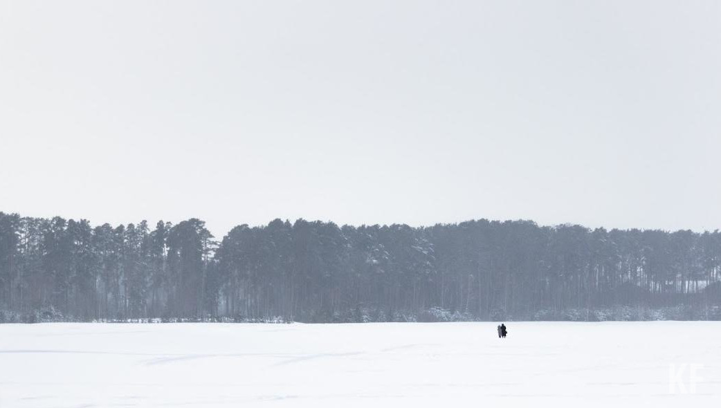 Лесники разбрасывают золу на посевных участках.