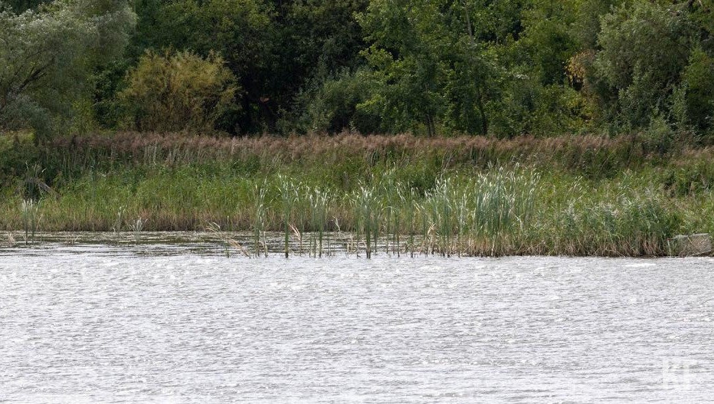 Трагедия произошла в Апастовском районе.