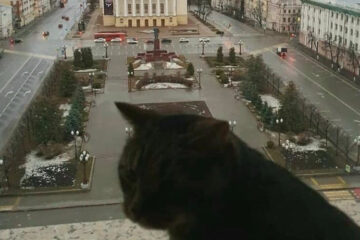 Усатый осмотрел из окна президента Татарстана площадь Свободы.